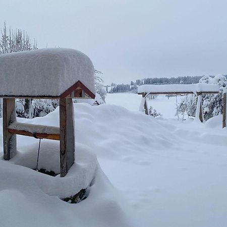 Trollenhof Im Allgaeu - Ferienwohnungen Saeuling 루크홀츠 외부 사진