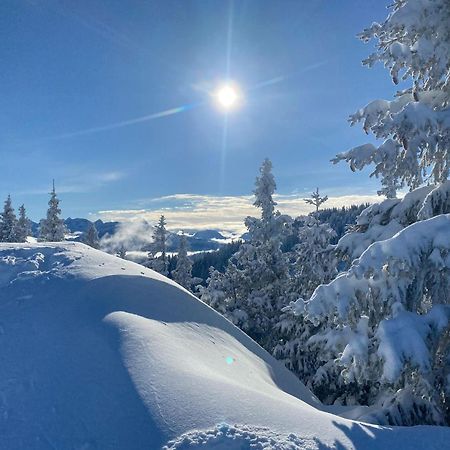 Trollenhof Im Allgaeu - Ferienwohnungen Saeuling 루크홀츠 외부 사진