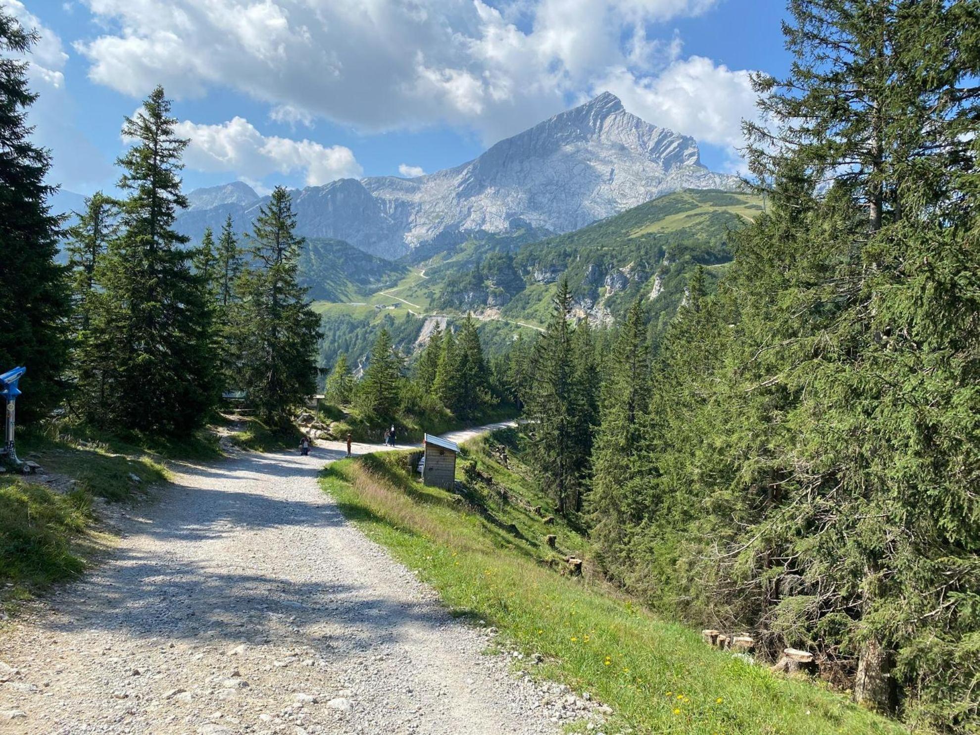 Trollenhof Im Allgaeu - Ferienwohnungen Saeuling 루크홀츠 외부 사진