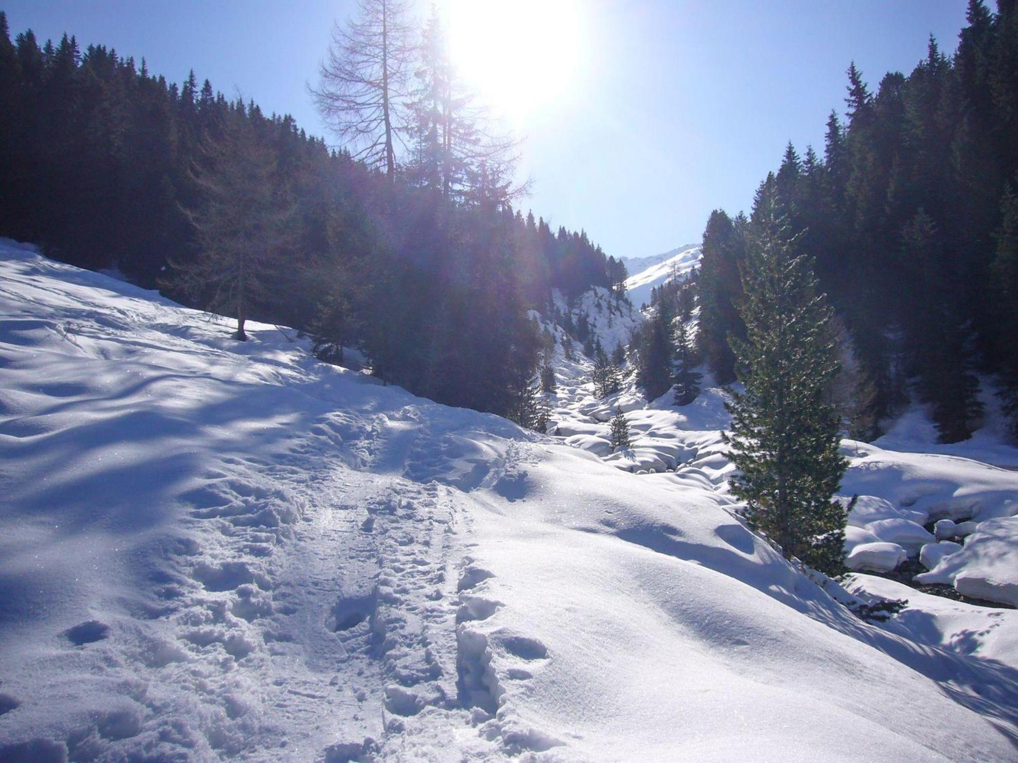 Trollenhof Im Allgaeu - Ferienwohnungen Saeuling 루크홀츠 외부 사진